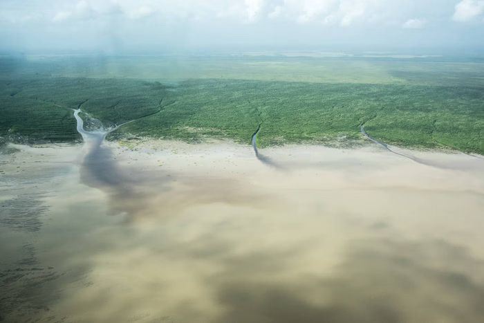 Foto: Elsa Palito/Greenpeace Brasil