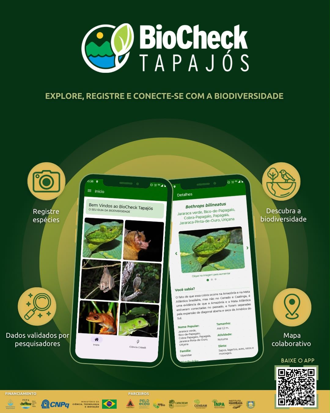 Aplicativo de celular destaca informações do Baixo Tapajós episode artwork